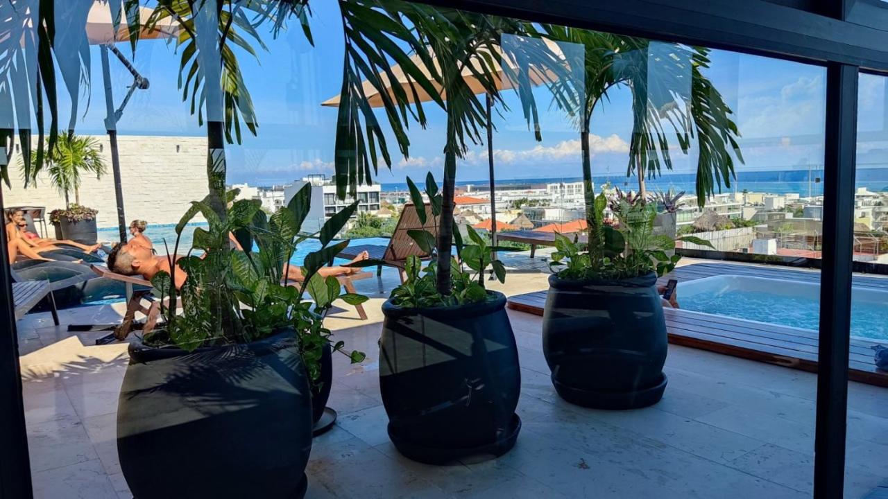 Apartamento Luxury Suites , Calle 14th